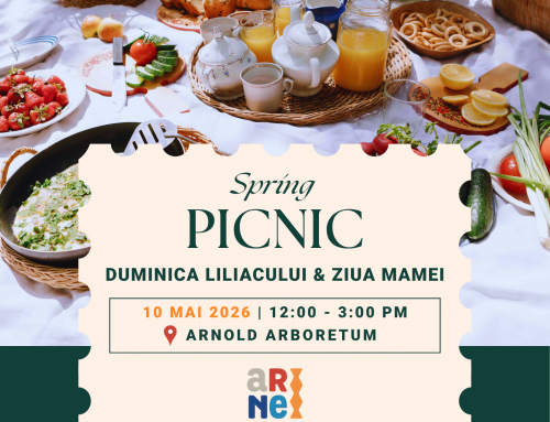 May 10, 2026 Picnic on Lilac Sunday at Arnold Arboretum